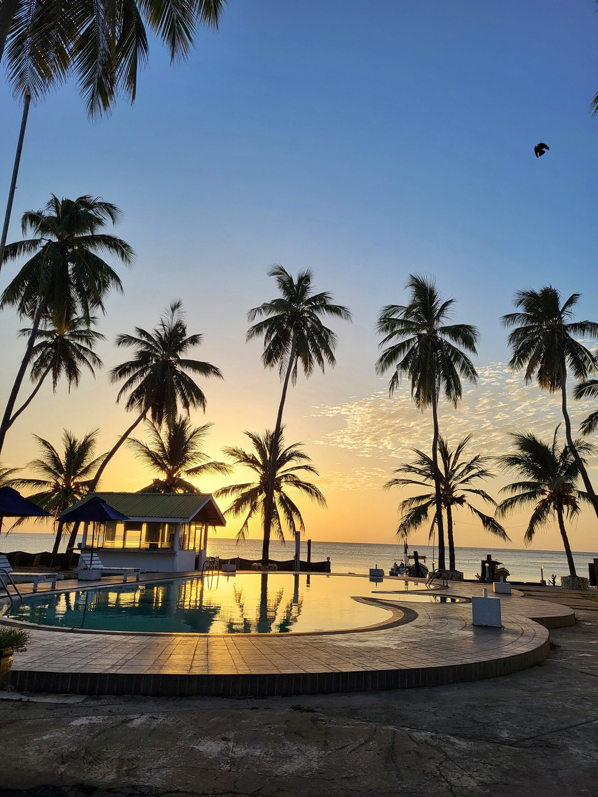 Sonnenaufgang in Sri Lanka mit Hotel-Pool im Vordergrund und Palmen