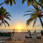 Reisebegleitung: Travel Blues